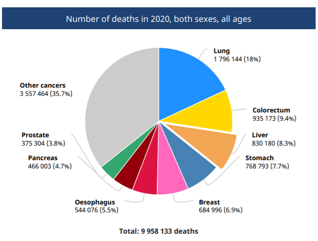 liver cancer deaths 2020